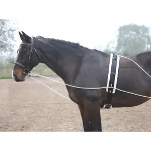 Longierzopf Pferd Shires image-0