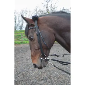 Adaptateur de longe équitation Shires