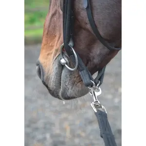 Adaptateur de longe équitation Shires image-1