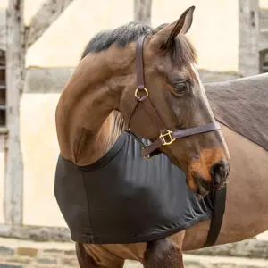 Stretchable shoulder guard for horse Shires image-1