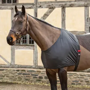 Stretchable shoulder guard for horse Shires image-2