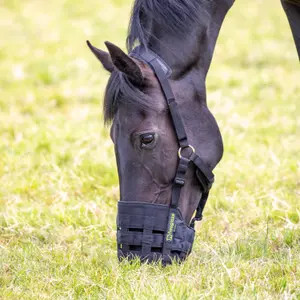 Maulkorb für Pferde Shires FreeGraze Comfort image-2