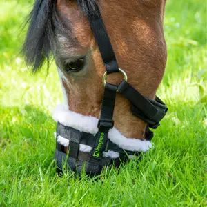 Maulkorb für Pferde Shires FreeGraze Deluxe Comfort image-3