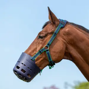 Maulkorb für Pferde Shires Flexi Grazer image-0