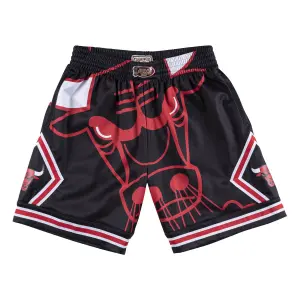 Short Chicago Bulls big face bulls 1997/98 image-0