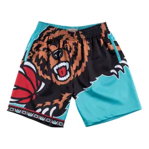 Breve Vancouver Grizzlies big face grizzlies 1995/96 image-0