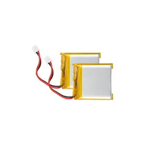 Μπαταρία Sigor (x2) image-0