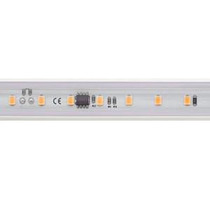 High voltage LED strip Sigor Ip65 2700K 14W 25m