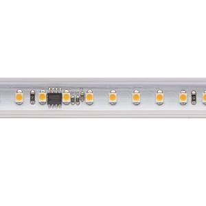 High voltage LED strip Sigor Ip65 2700K 8W 50 m
