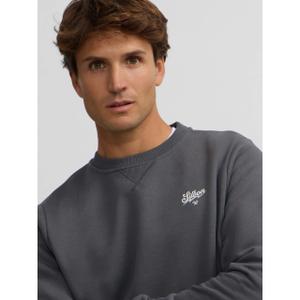 Felpa classic con stampa The Squad Silbon image-5