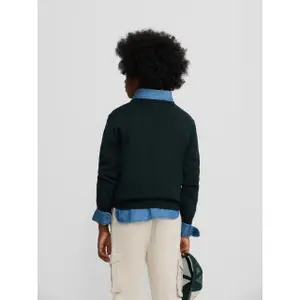 Child's round neck jumper with dog pattern Silbon image-5