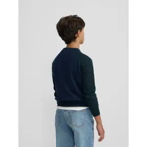 Green long-sleeve cotton crew neck jumper for kids Silbon image-5