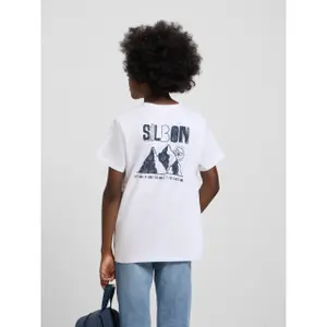 T-Shirt Silbon Mountain image-4
