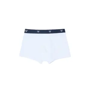 Unifarbene Boxershorts Silbon image-0