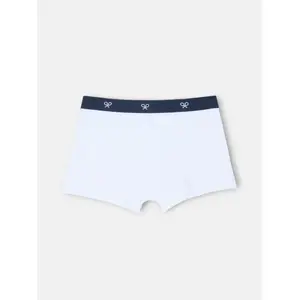 Unifarbene Boxershorts Silbon image-1
