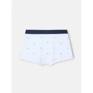 Boxer mit weißen Punkten und Schlägern Silbon image-1