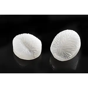 Silikoneform Silikomart SLK917 Foglia 917 image-0