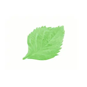 Forma Silikomart SLK934 - Sugarflex Autumn Leaf image-0