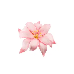 Moule Silikomart SLK937 - Sugarflex Hibiscus Petal image-0