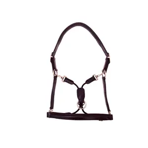 Licol pour cheval Silver Crown Grooming image-0