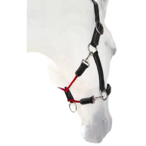 Grime til heste Silver Crown Grooming image-0