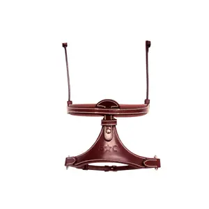 Horse cheek pieces with x-nose ii Silver Crown