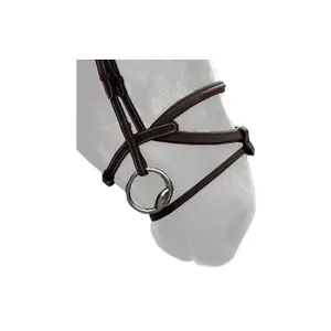 n16b-reithalfter-silver-crown-brazilian-schwarz-full