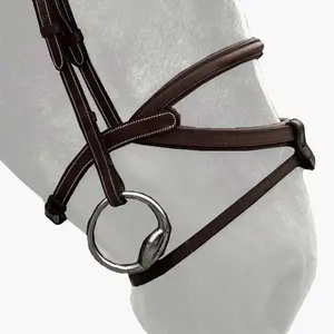 n16c-reithalfter-silver-crown-brazilian-conker-full