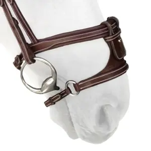 Muserolle cheval avec X-Nose Silver Crown image-0