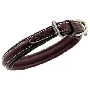 Dog collar Silver Crown Fairway