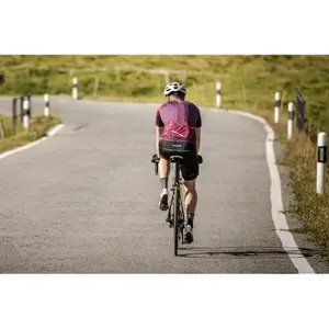 Bibtights Silvini Fortore image-2