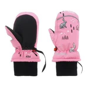 Skihandschuhe Baby Sinner Tim image-0