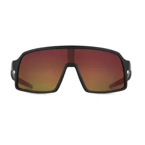 Lunettes de soleil Sinner Alseis