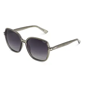Lunettes de soleil Sinner Barfleur