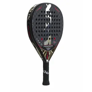 Padel rackets Siux Padel Pegasus Revolution 12K image-0