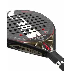 Padel rackets Siux Padel Pegasus Revolution 12K image-3