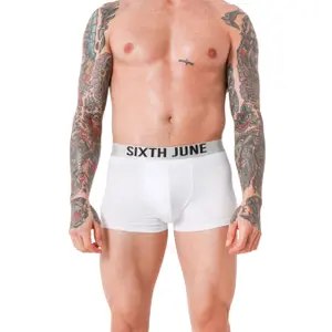 Egyszínű boxer Sixth June image-1