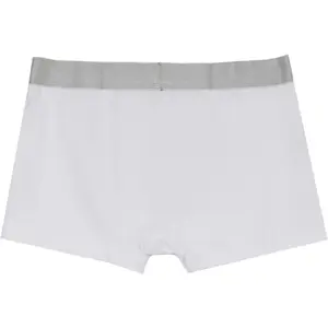 Egyszínű boxer Sixth June image-3