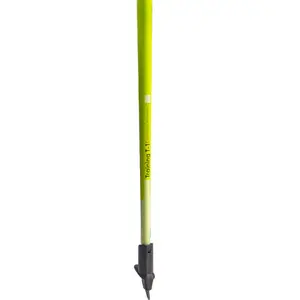 Μπατόν σκι Skigo Carbon 2.0 image-4