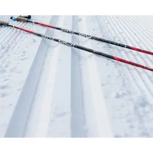 Skistock Skigo Vasa image-1