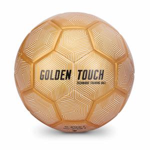 Training ball SKLZ Golden Touch Weighted