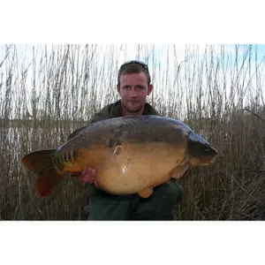 Korda Skyliner Inline 2oz image-1