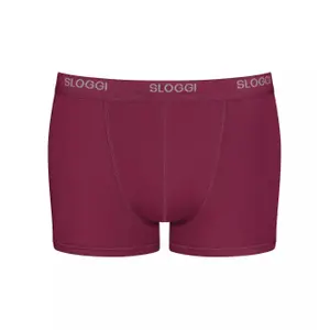 boxer image-0