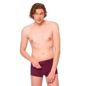boxer image-1