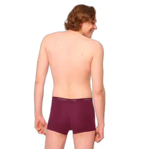 boxer image-2