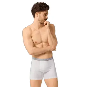 Boxerek image-1