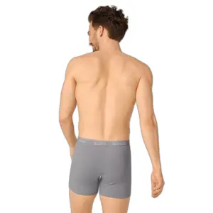 Boxerek image-4