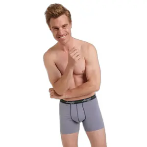 Boxerek image-2
