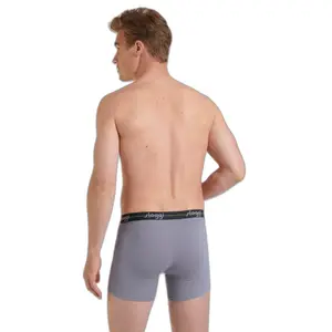 Boxerek image-3