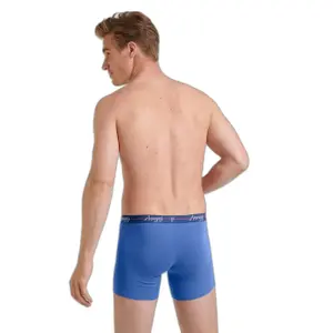 Boxerek image-3